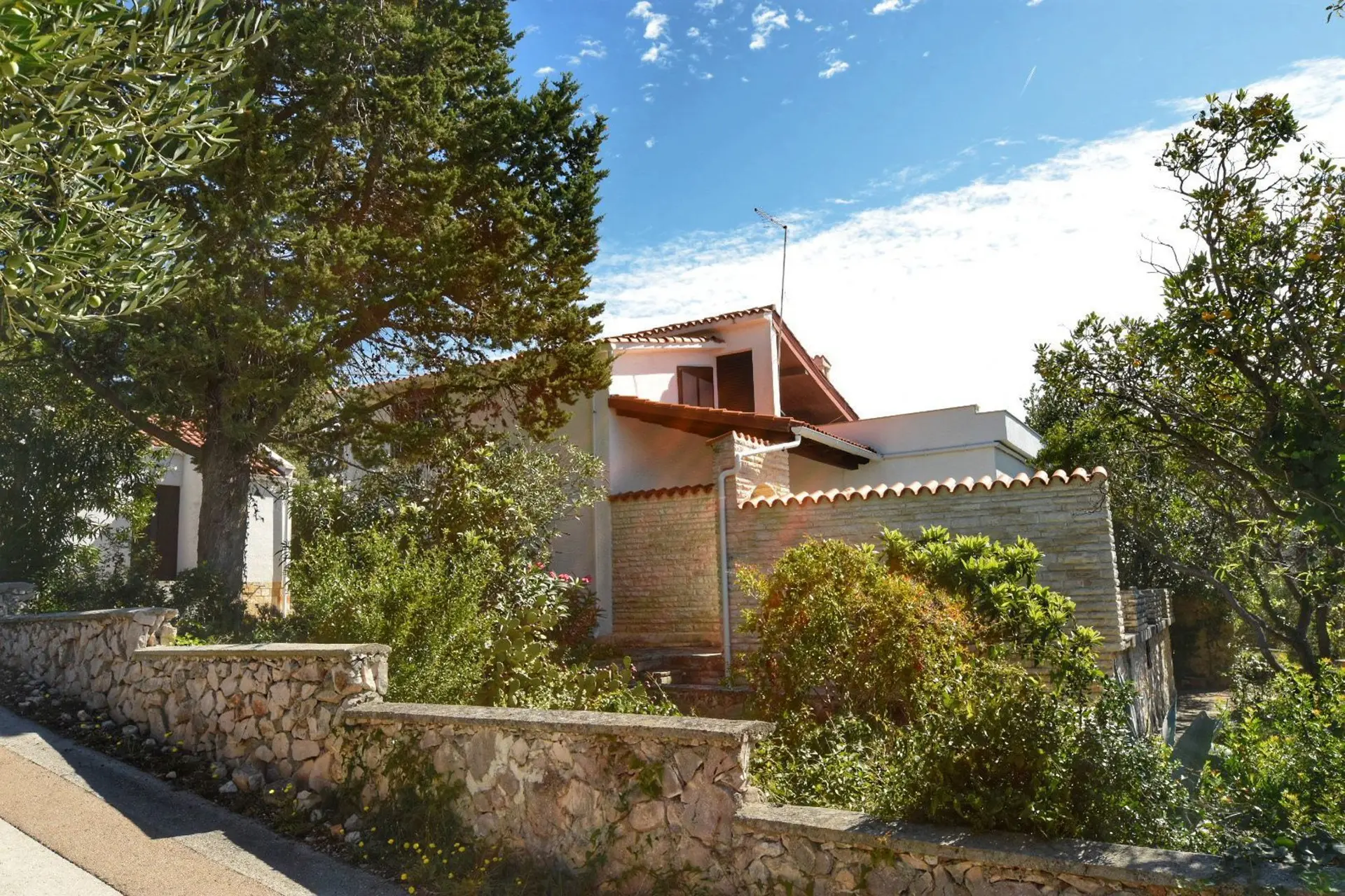 Listing Ad Image