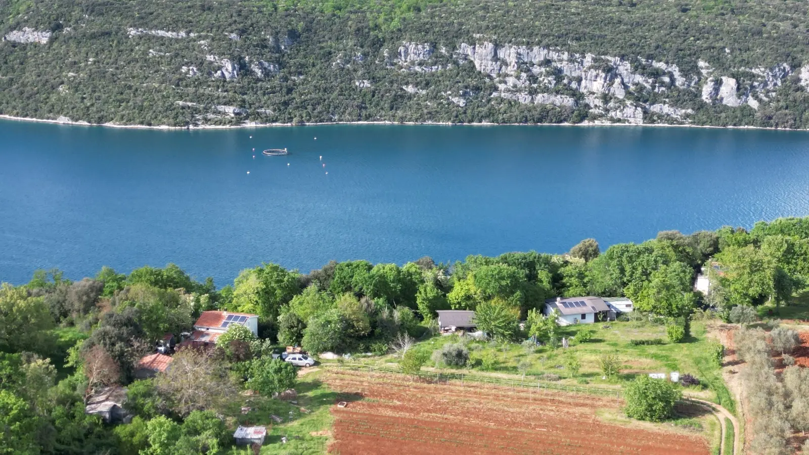 Listing Ad Image
