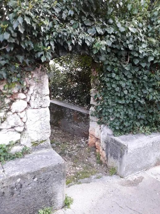 Listing Ad Image