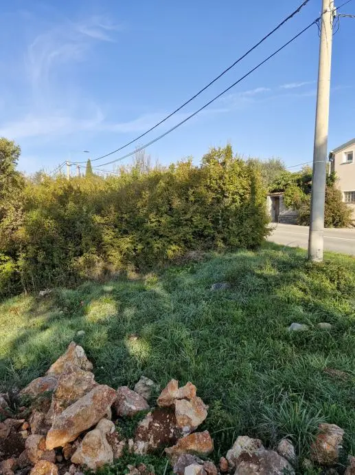 Listing Ad Image