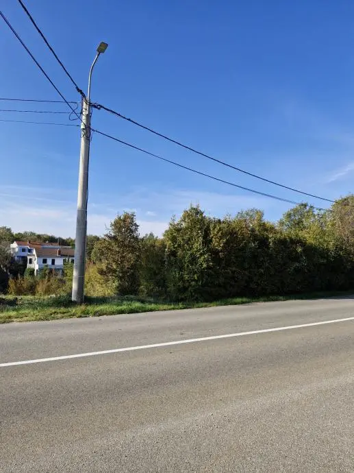 Listing Ad Image