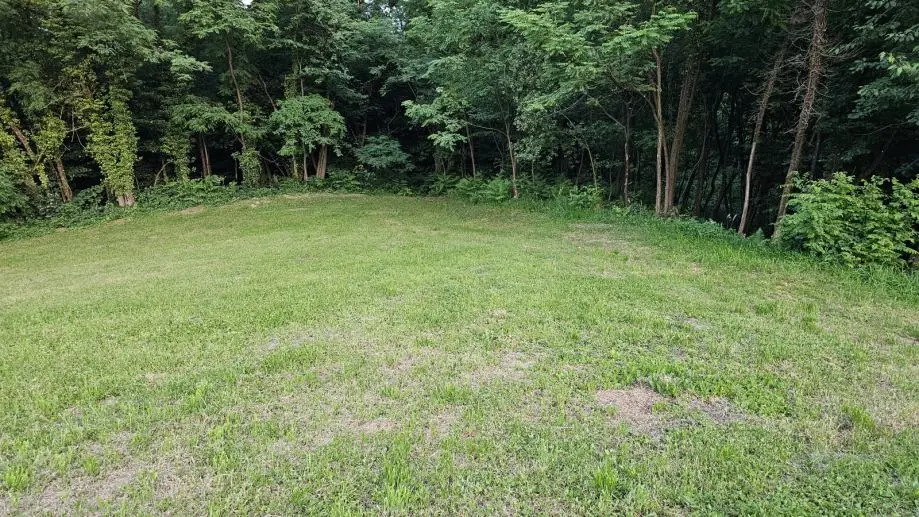 Listing Ad Image