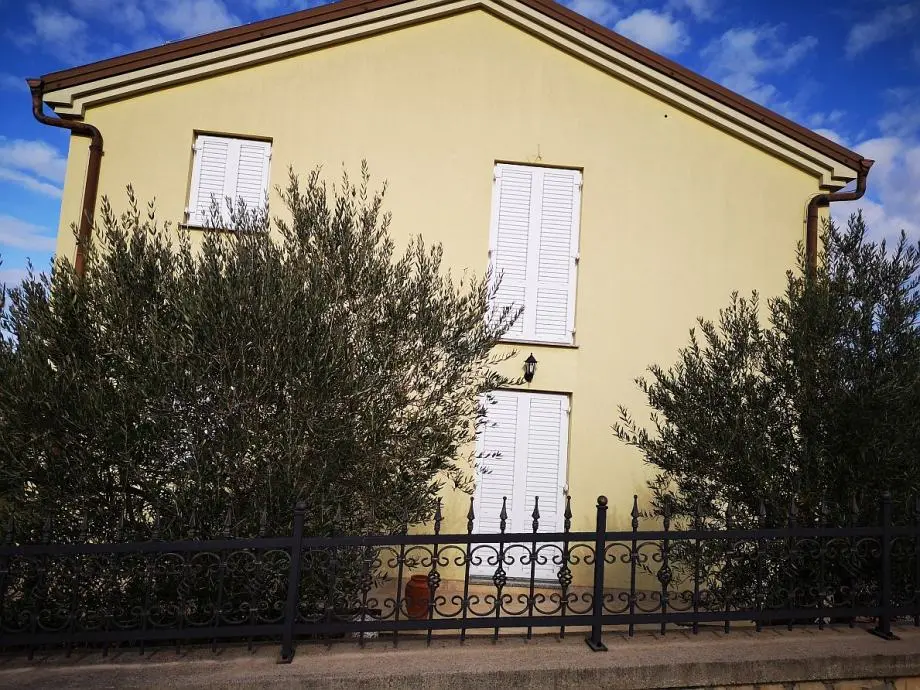 Listing Ad Image