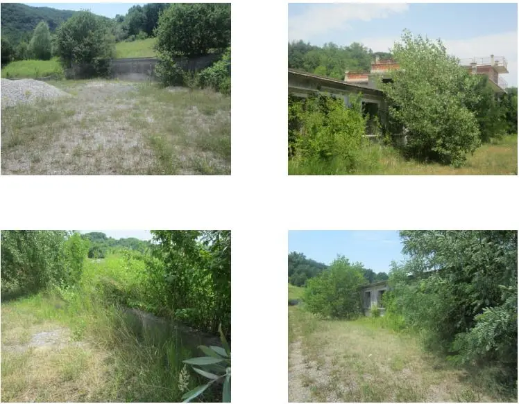 Listing Ad Image
