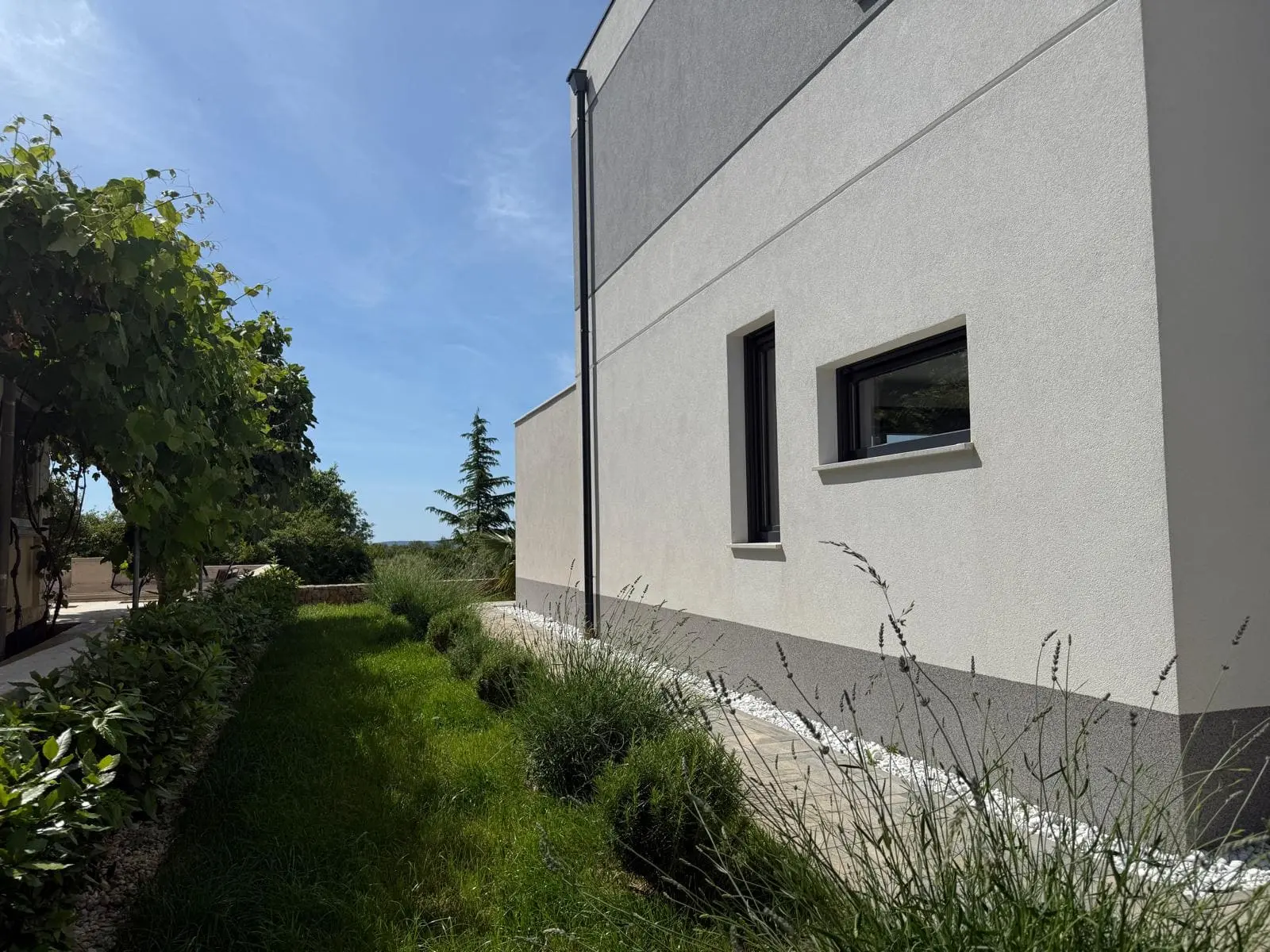 Listing Ad Image
