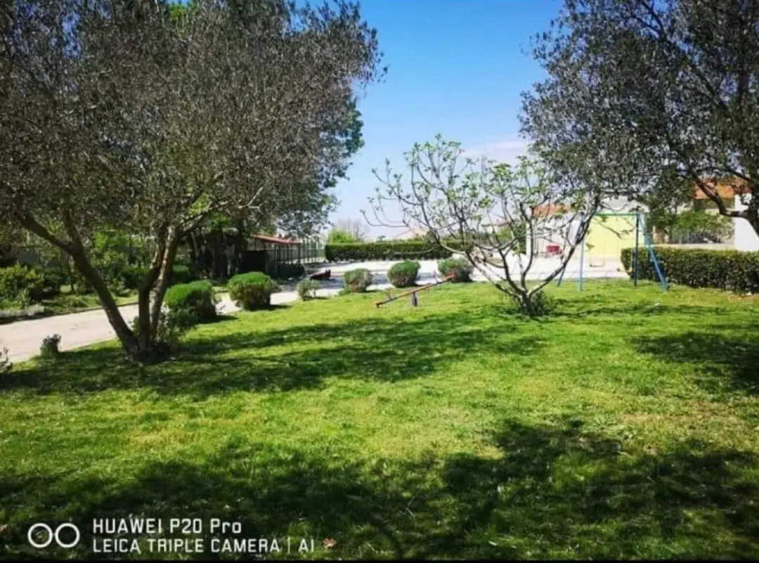 Listing Ad Image