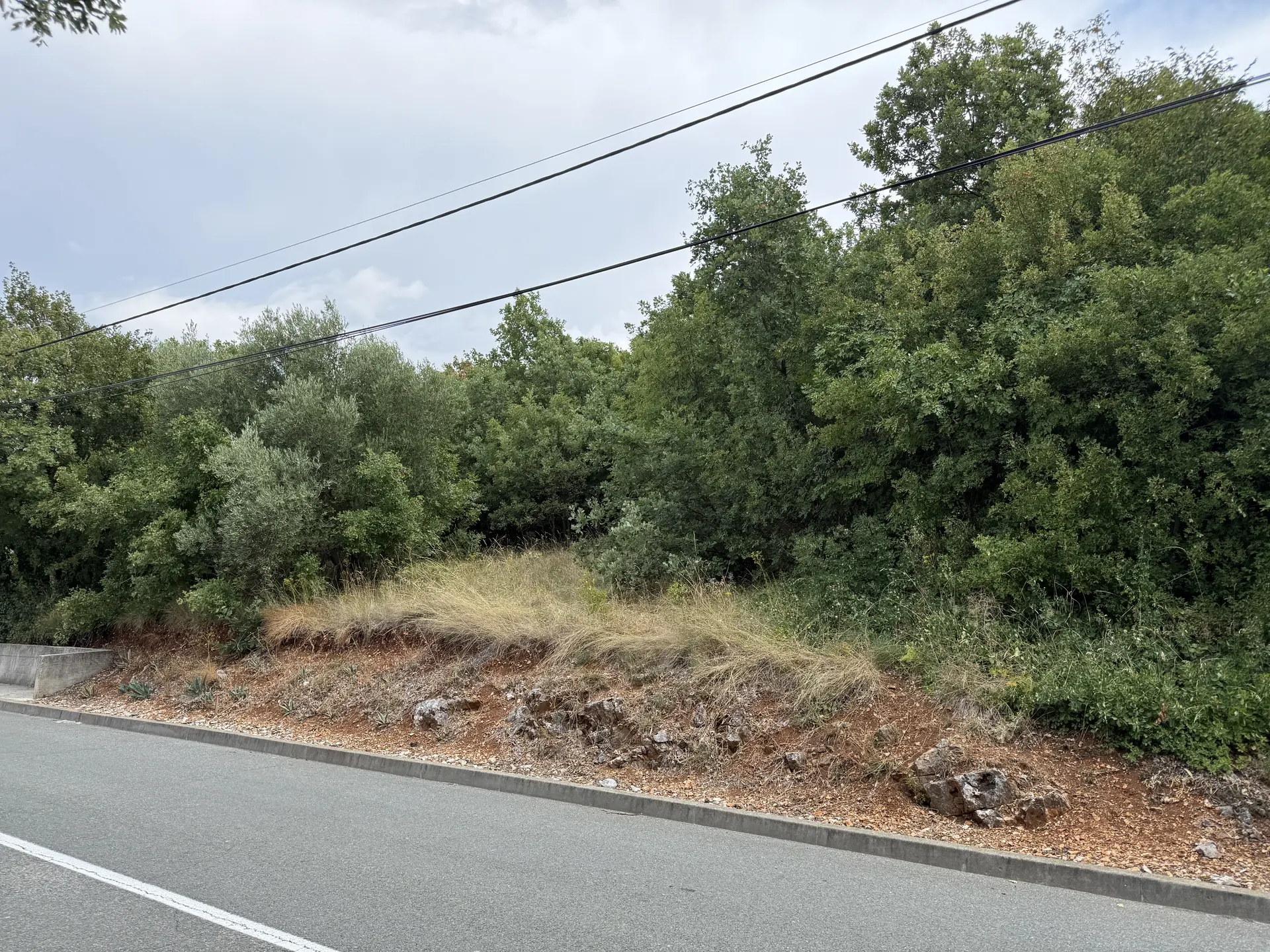Listing Ad Image