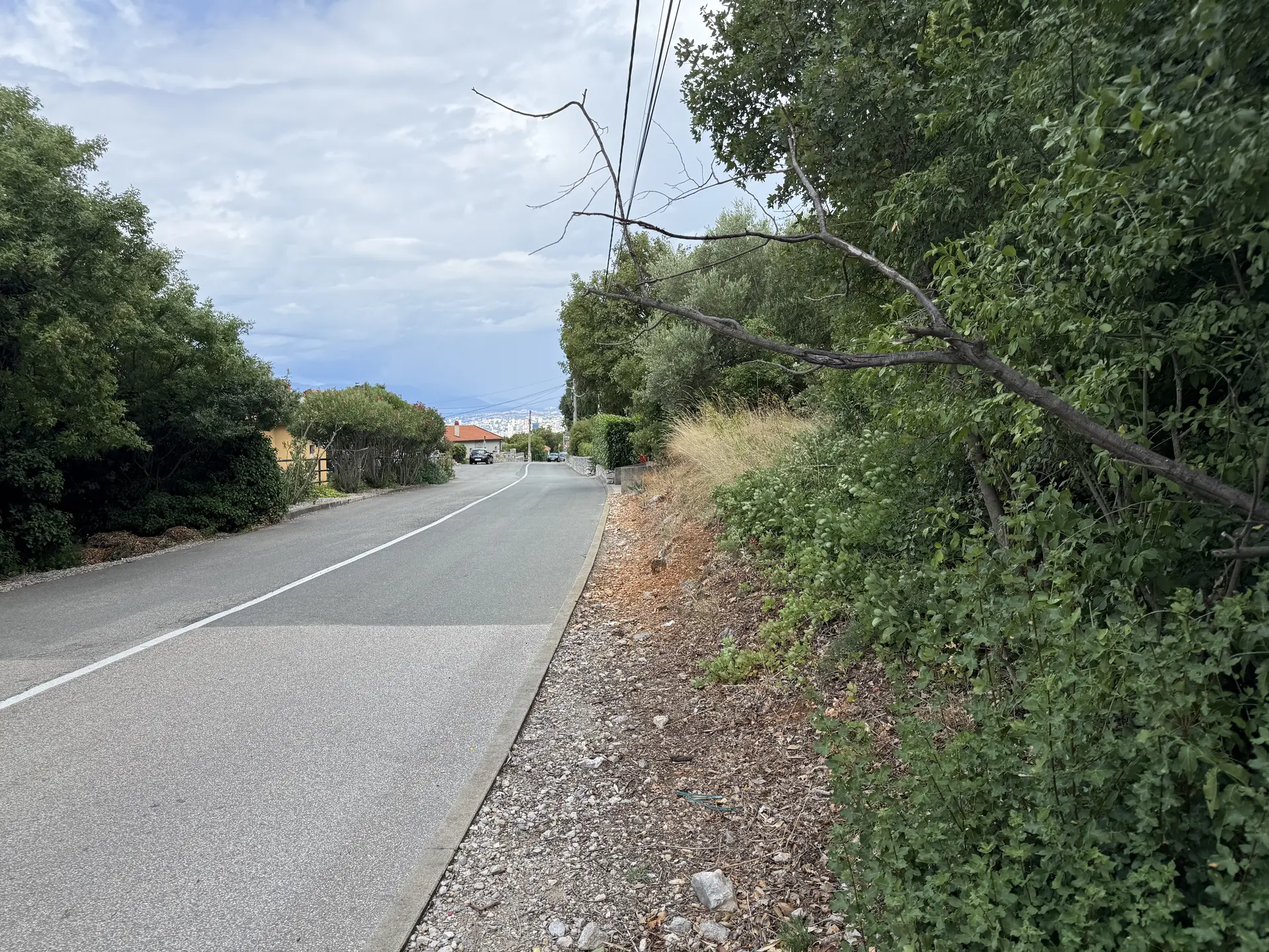 Listing Ad Image