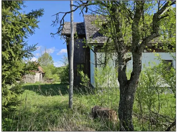 Listing Ad Image