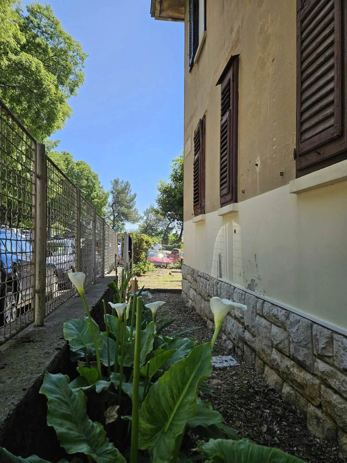 Listing Ad Image