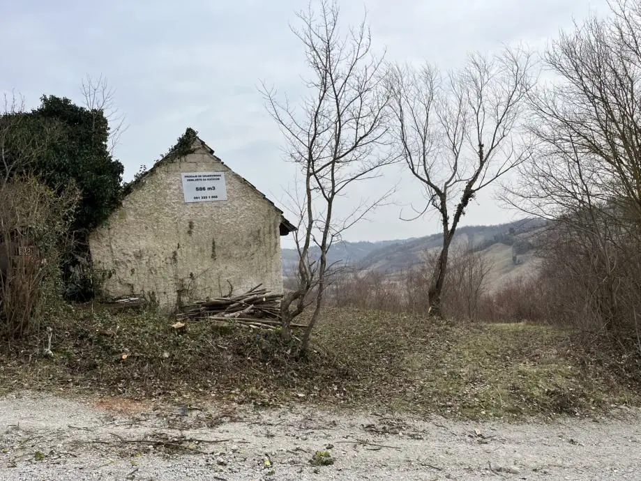 Listing Ad Image
