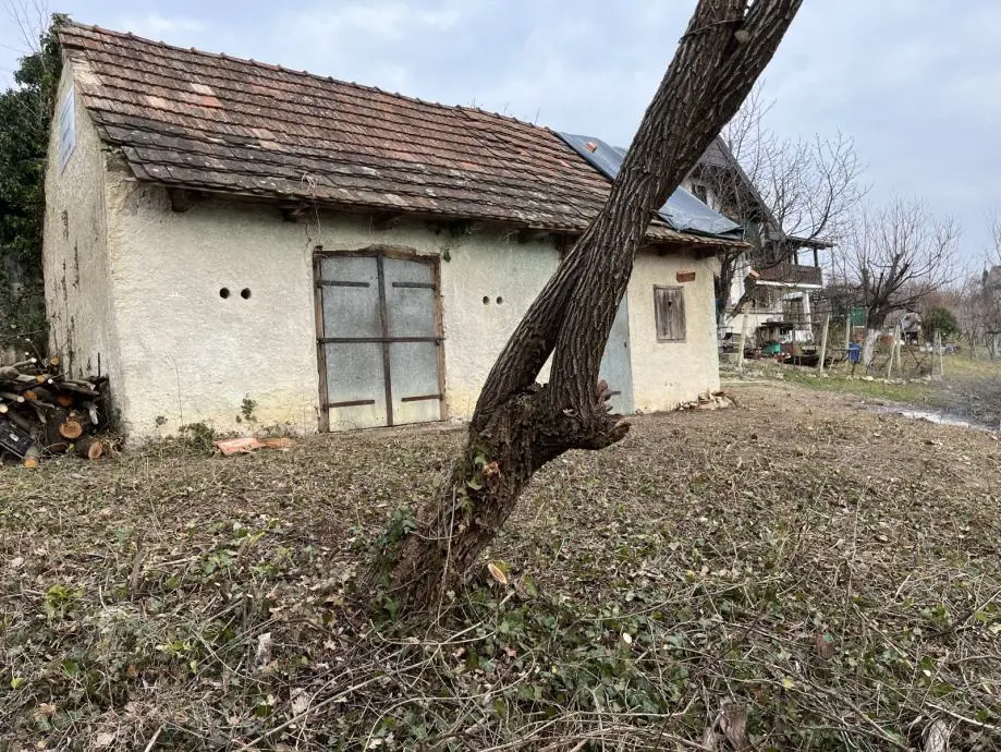 Listing Ad Image