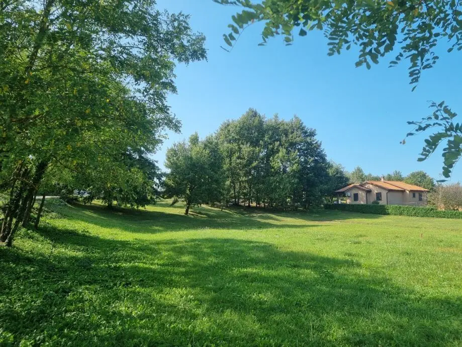 Listing Ad Image