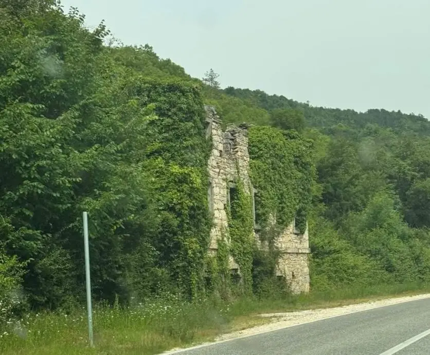 Listing Ad Image
