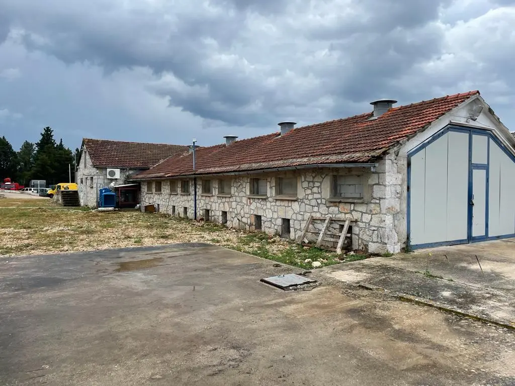 Listing Ad Image