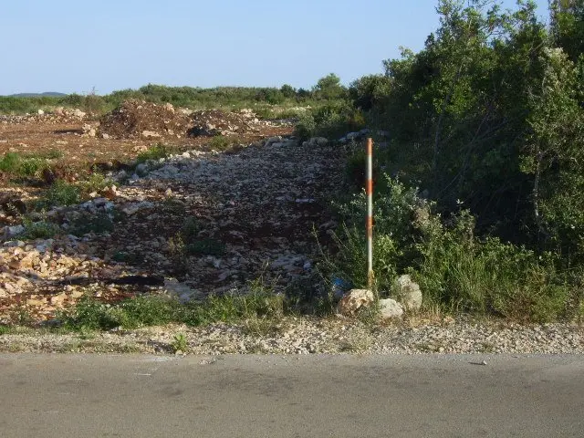 Listing Ad Image