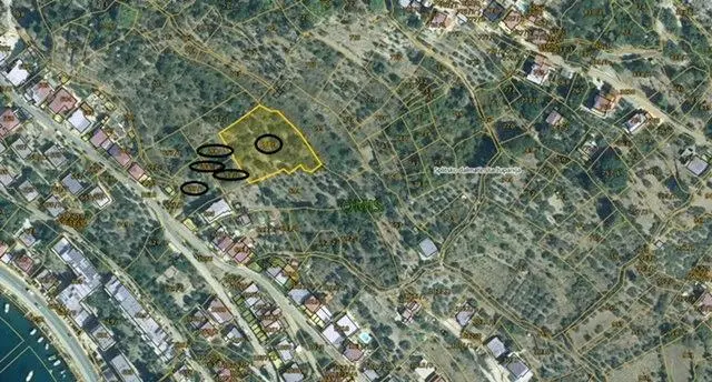 Listing Ad Image
