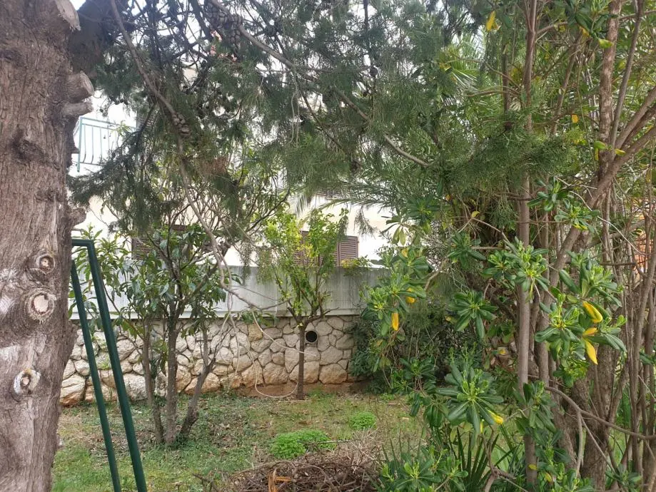 Listing Ad Image