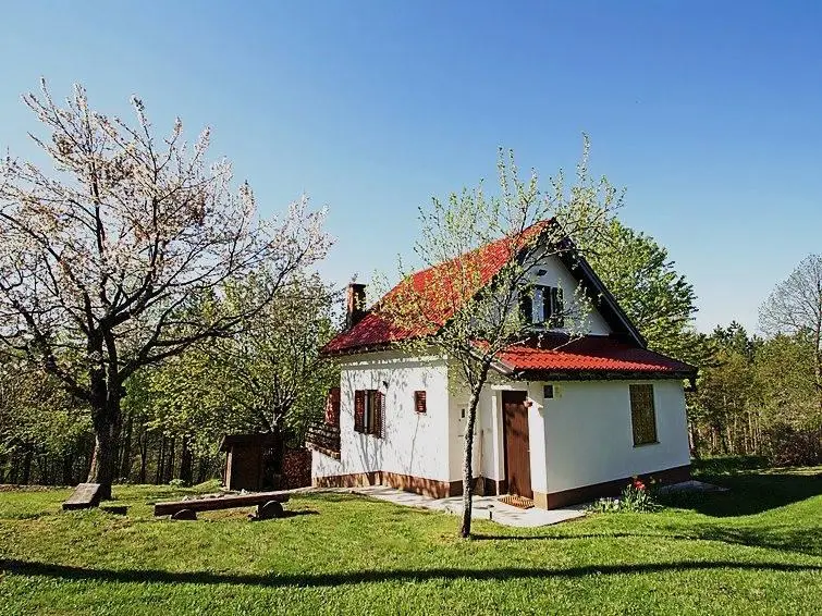 Listing Ad Image
