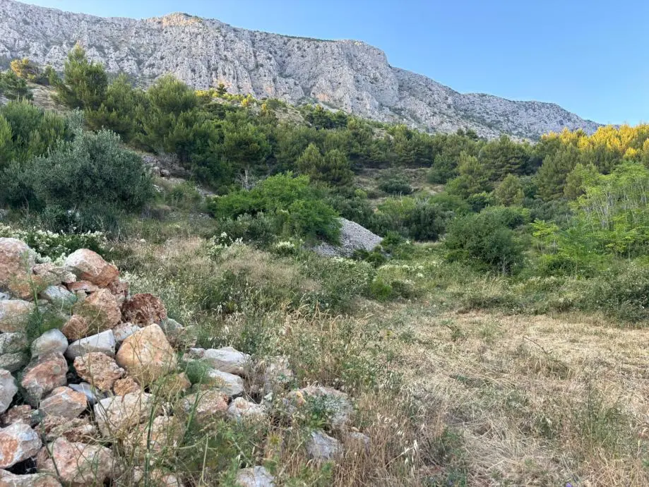 Listing Ad Image