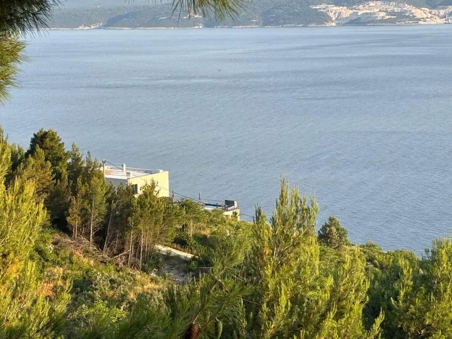 Listing Ad Image