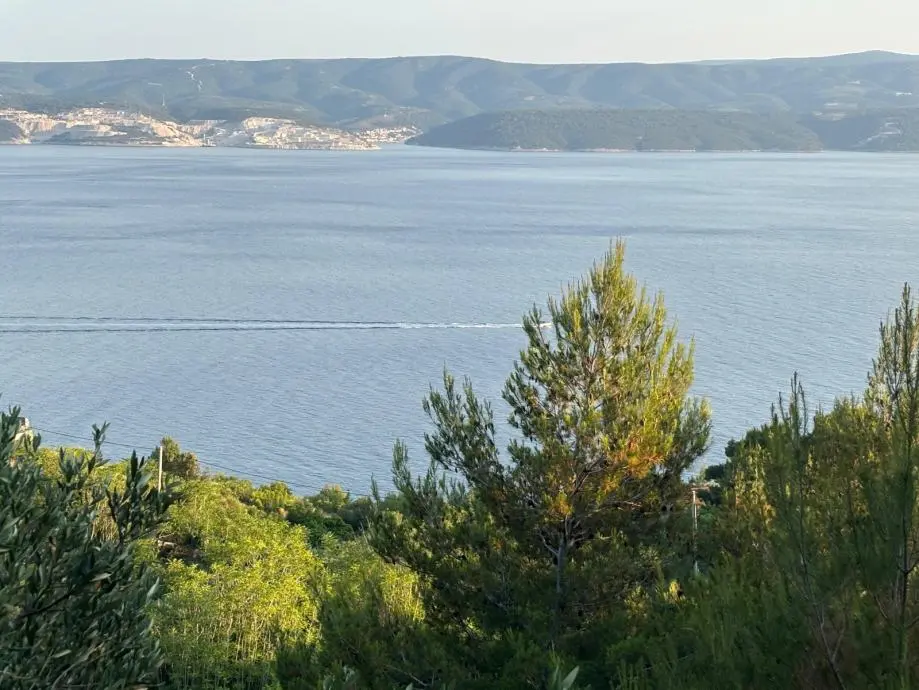 Listing Ad Image