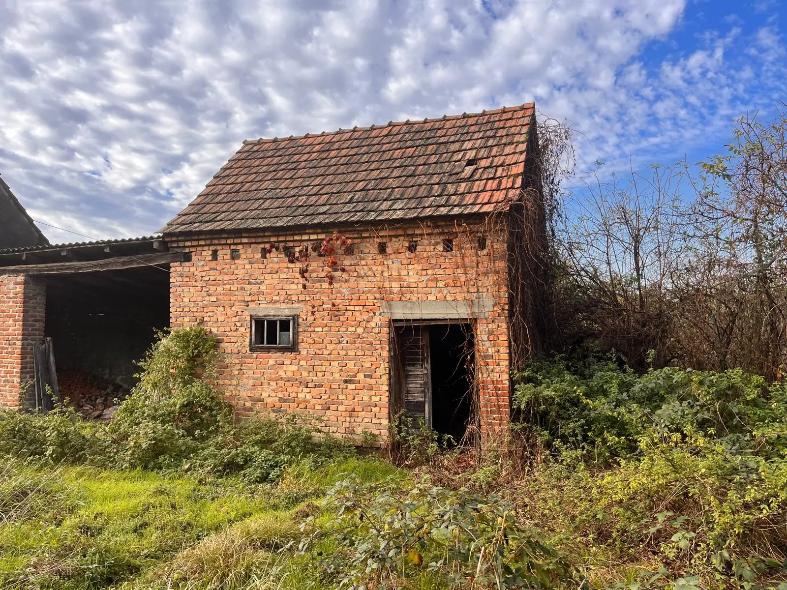 Listing Ad Image