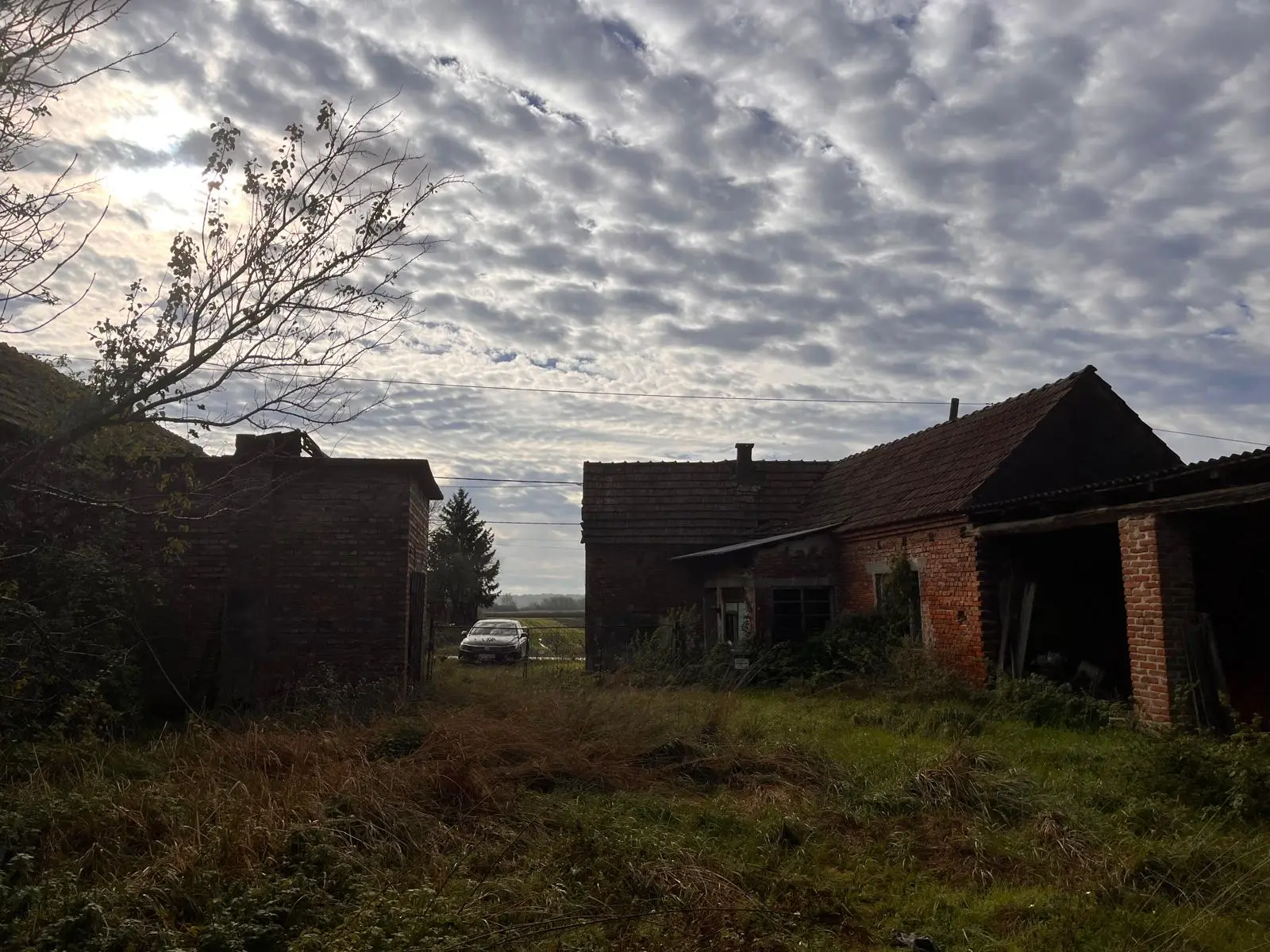 Listing Ad Image