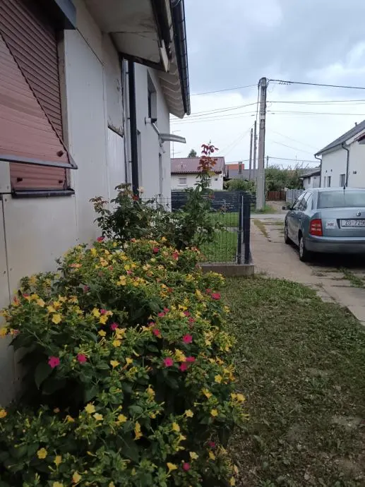 Listing Ad Image