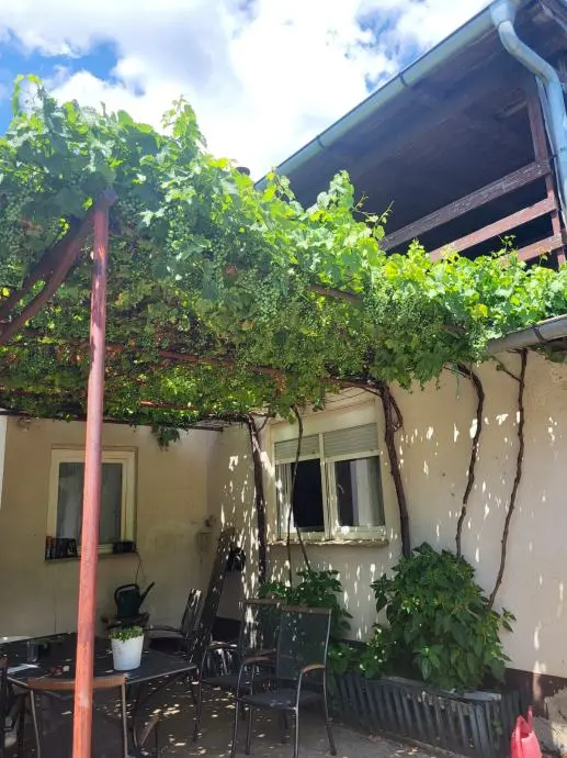 Listing Ad Image