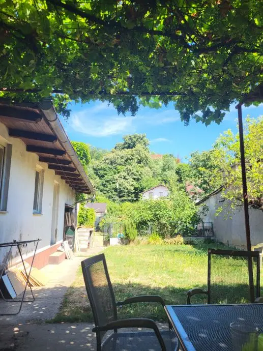Listing Ad Image