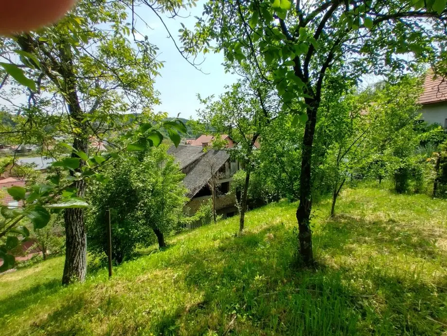 Listing Ad Image
