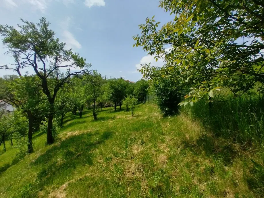 Listing Ad Image