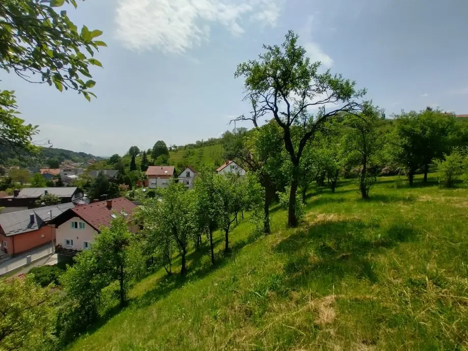 Listing Ad Image