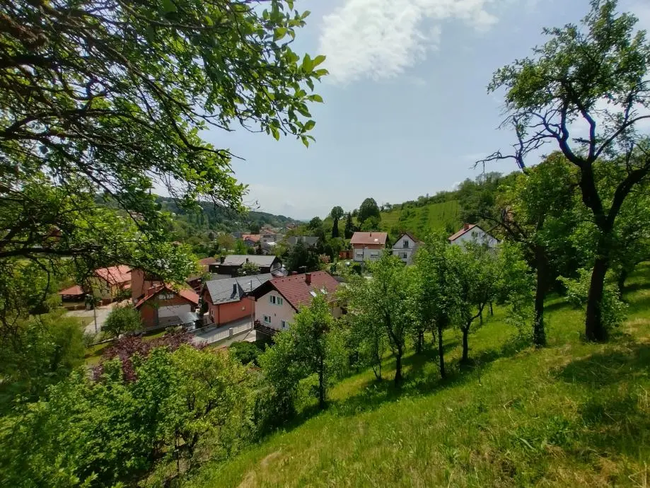 Listing Ad Image