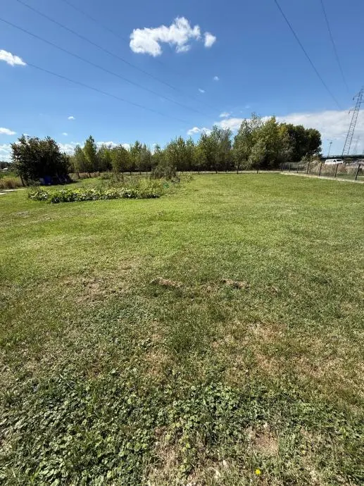 Listing Ad Image