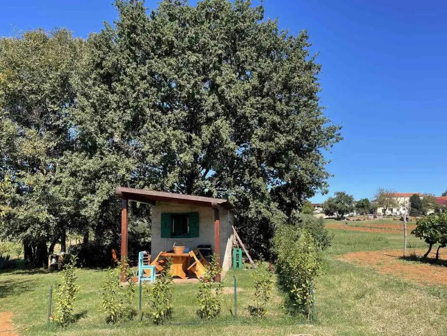 Listing Ad Image