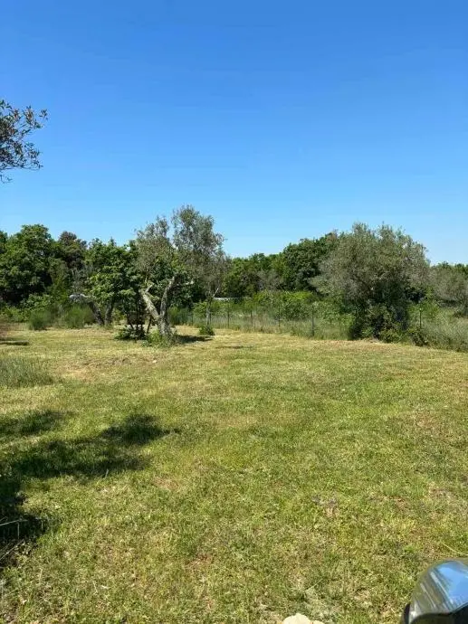 Listing Ad Image