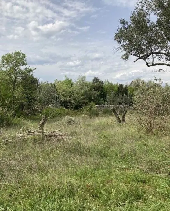 Listing Ad Image