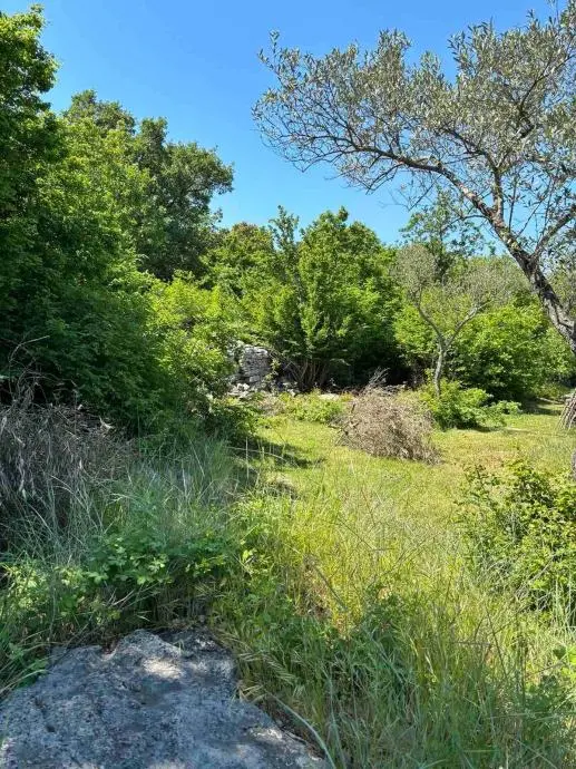 Listing Ad Image