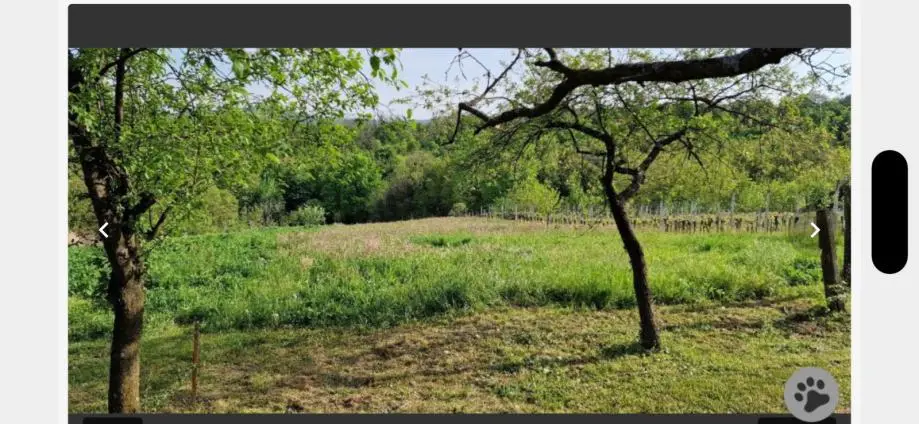 Listing Ad Image
