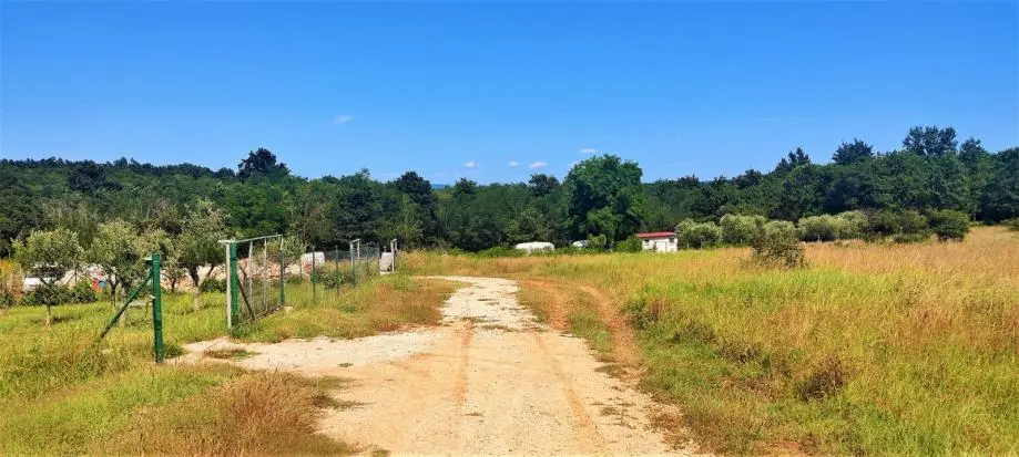 Listing Ad Image