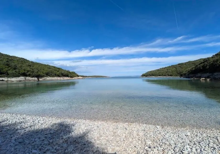 Listing Ad Image