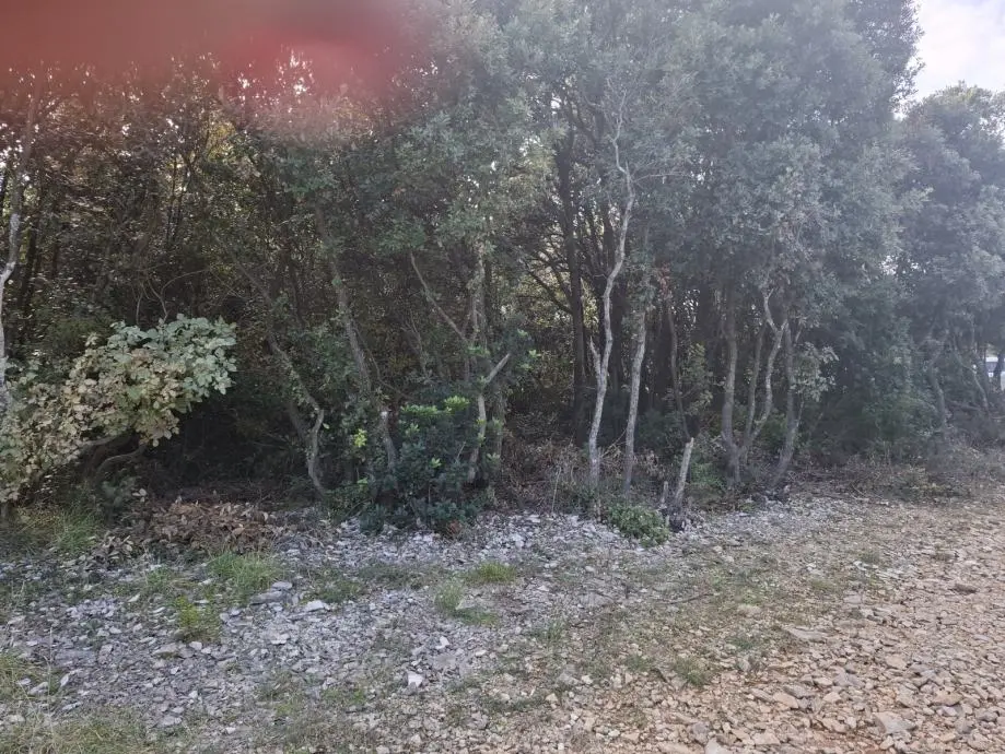 Listing Ad Image