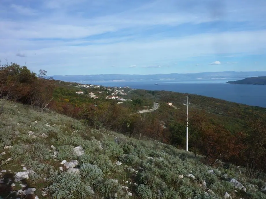 Listing Ad Image