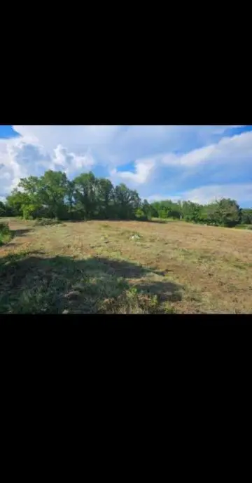 Listing Ad Image