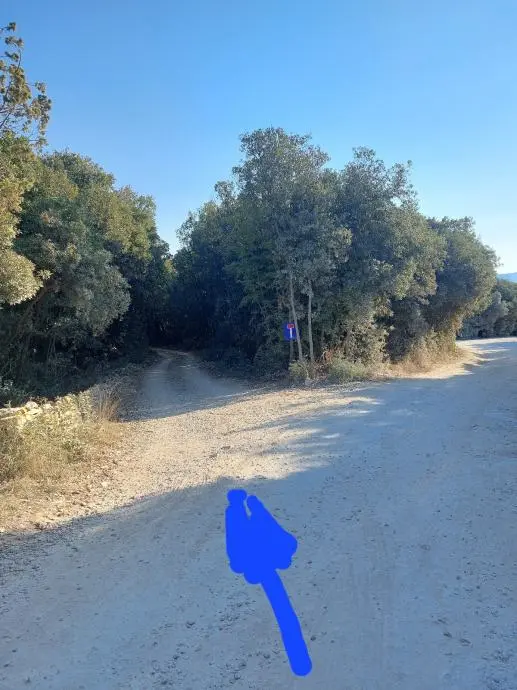 Listing Ad Image