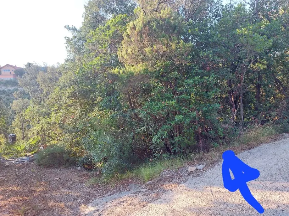 Listing Ad Image