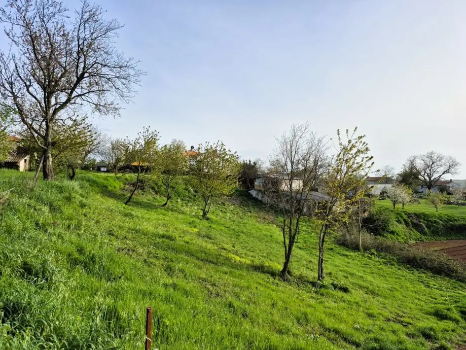 Listing Ad Image