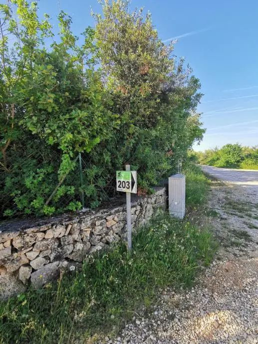 Listing Ad Image